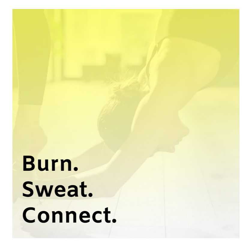 Faq TheNeat faq-theneat